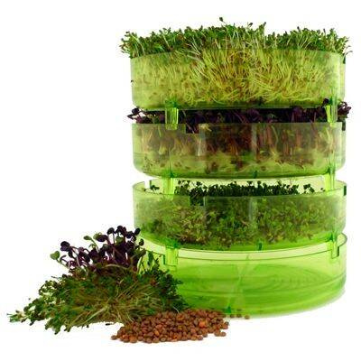 Kiełkownica poziomowa GEO PLUS, bez BPA, Bavicchi (TZZ0870)